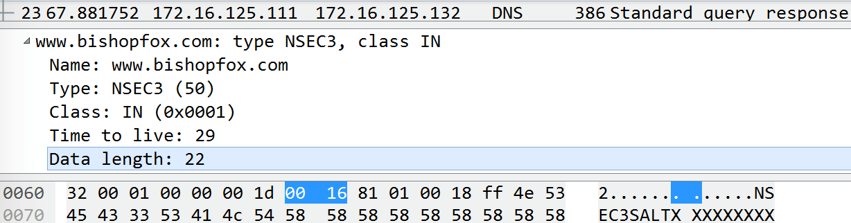 Captured NSEC3 Resource Record with user-supplied data length field highlighted